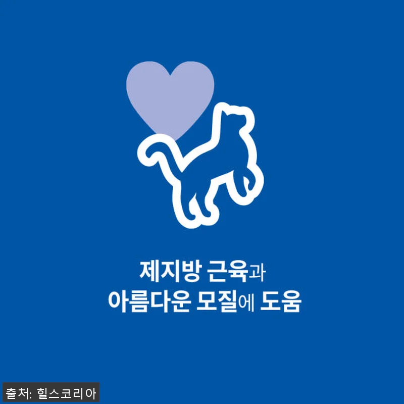 힐스 고양이사료 어덜트 10kg 대용 관련 이미지 1