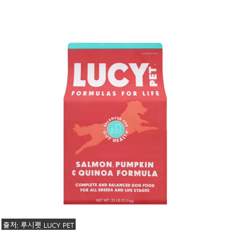 강아지사료 연어 호박 퀴노아 11.3 관련 이미지 1