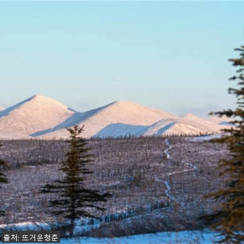 미국 알래스카 일일투어 | 오로라&북 관련 이미지 1