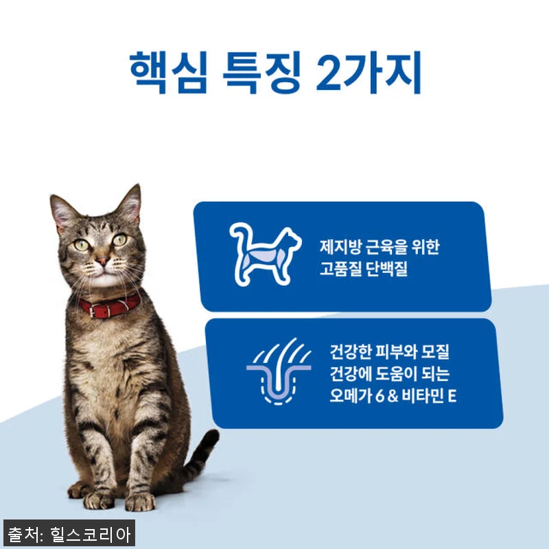 힐스 고양이사료 어덜트 10kg 대용 관련 이미지 2