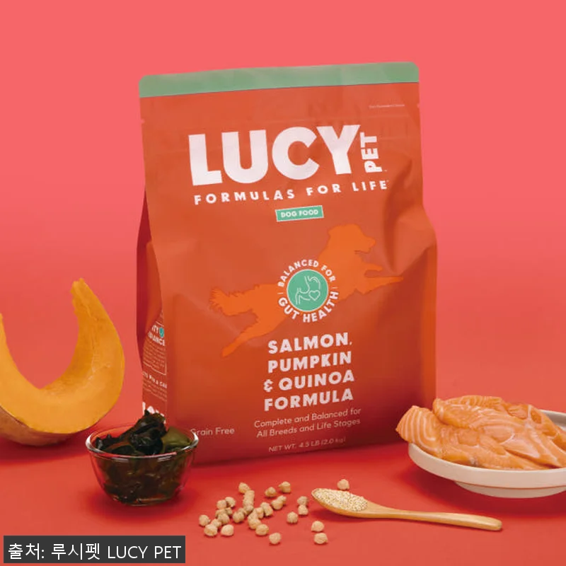강아지사료 연어 호박 퀴노아 11.3 관련 이미지 2