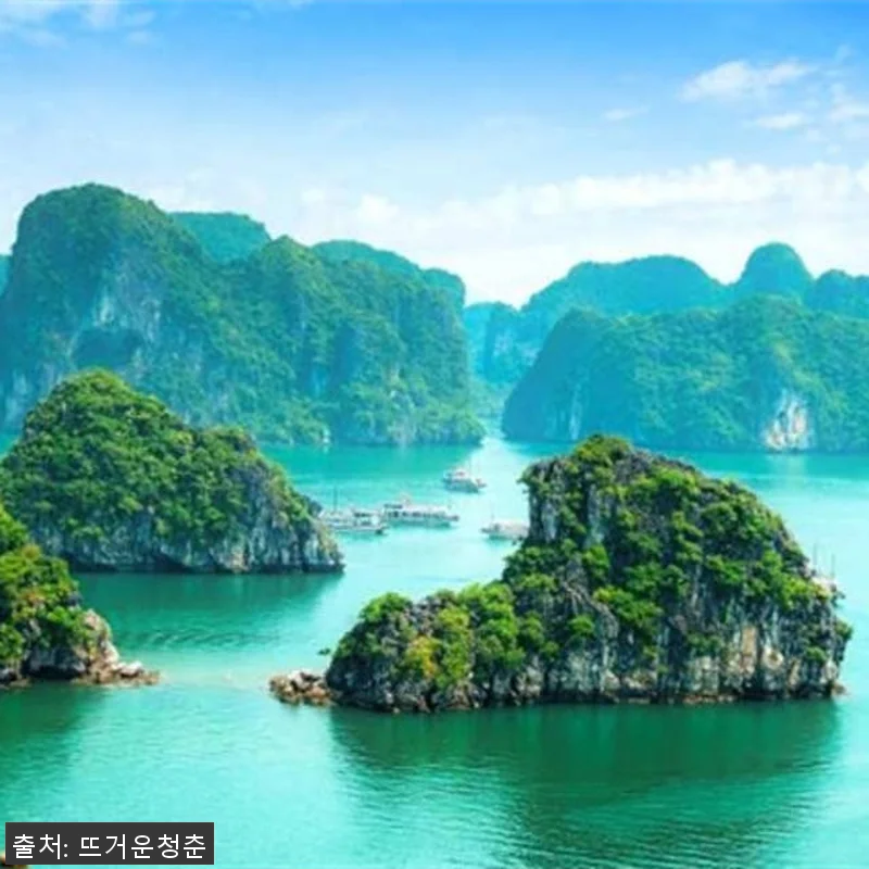 베트남 1박 2일 투어, 헤르메스 크 관련 이미지 2