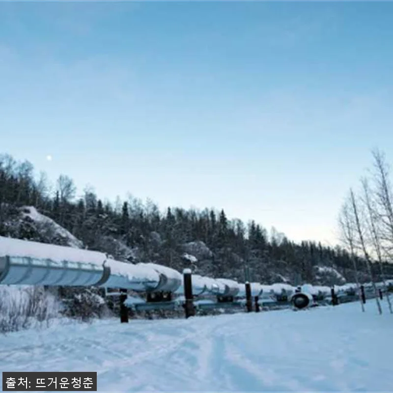 미국 알래스카 일일투어 | 오로라&북 관련 이미지 2