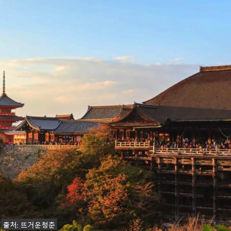 일본 오사카, 교토, 나라 10시간 관련 이미지 3