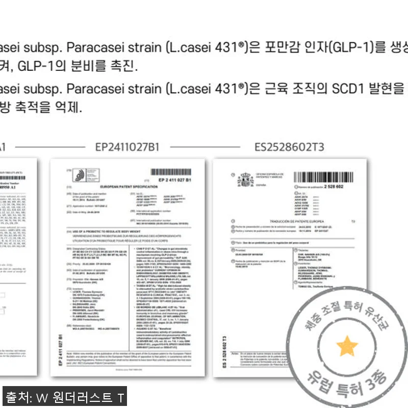 위고풀 국제 특허 3종 원료 식욕 조 관련 이미지 3