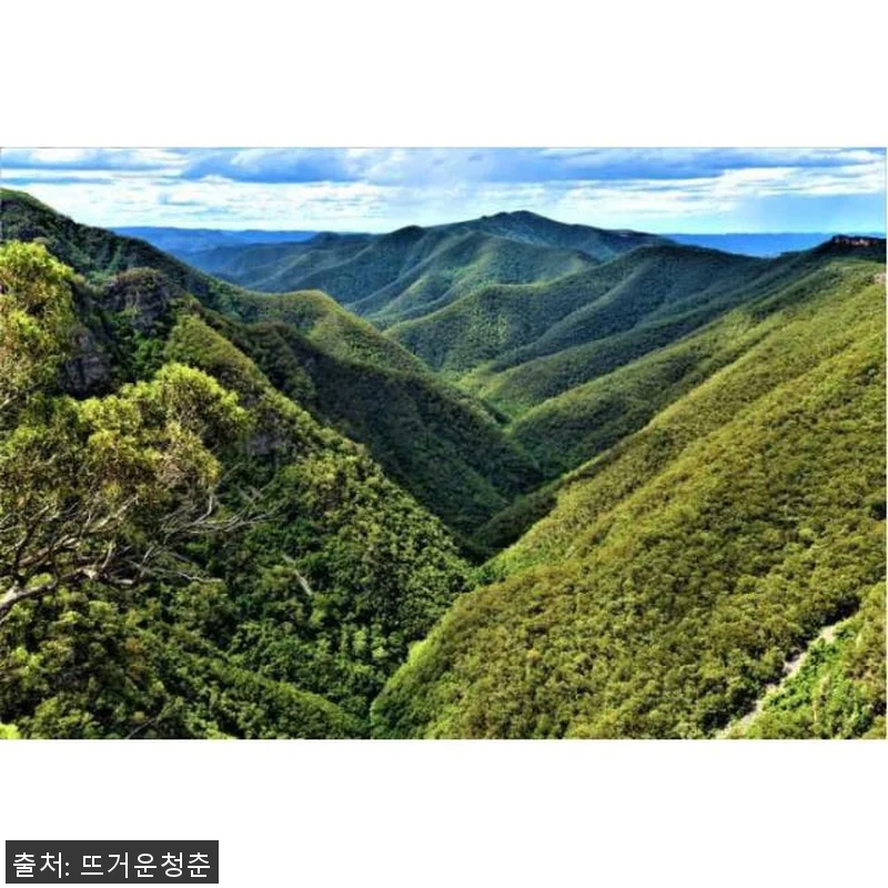 호주 시드니 제놀란 동굴 블루 마운틴 관련 이미지 3