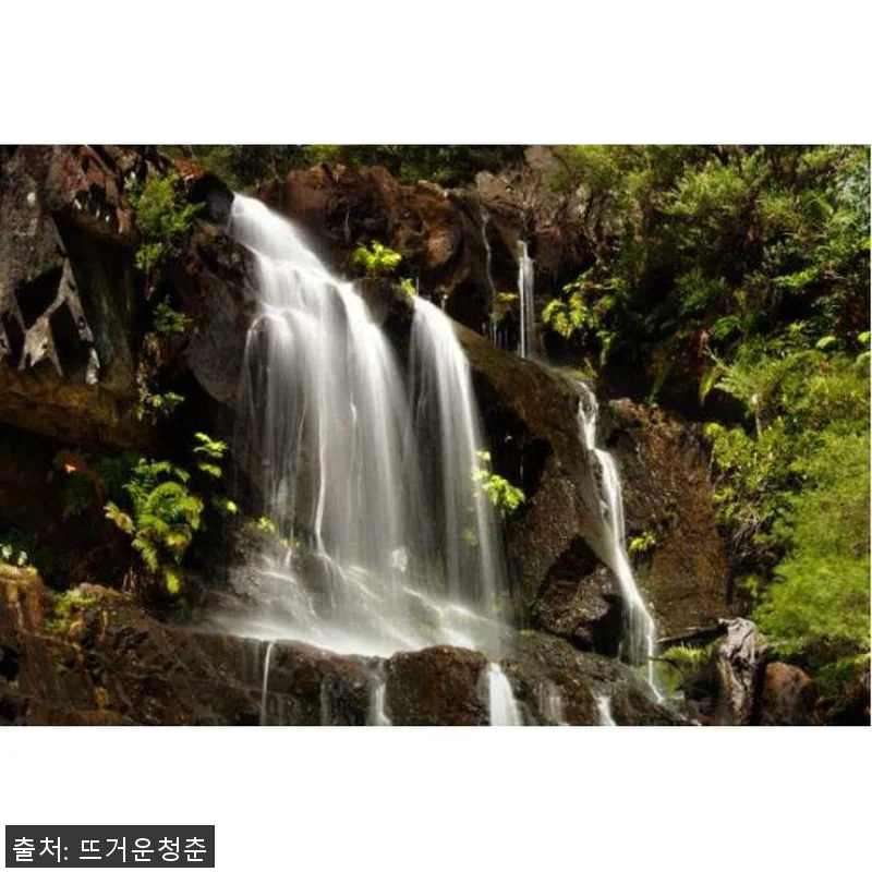 호주 시드니 제놀란 동굴 블루 마운틴 관련 이미지 4