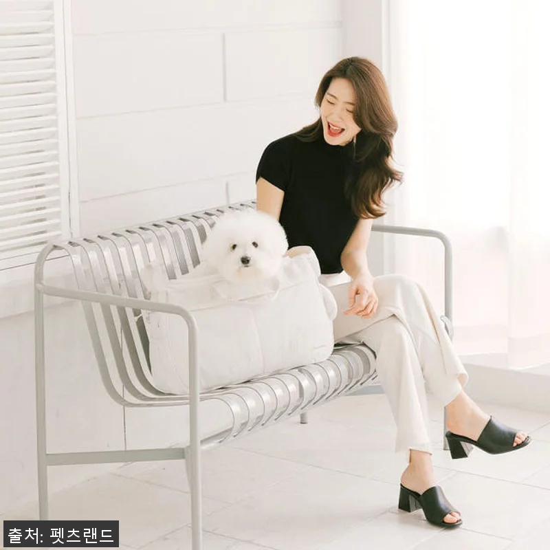 펫츠랜드 멜로우 슬링백 M 사용후기, 관련 이미지 8