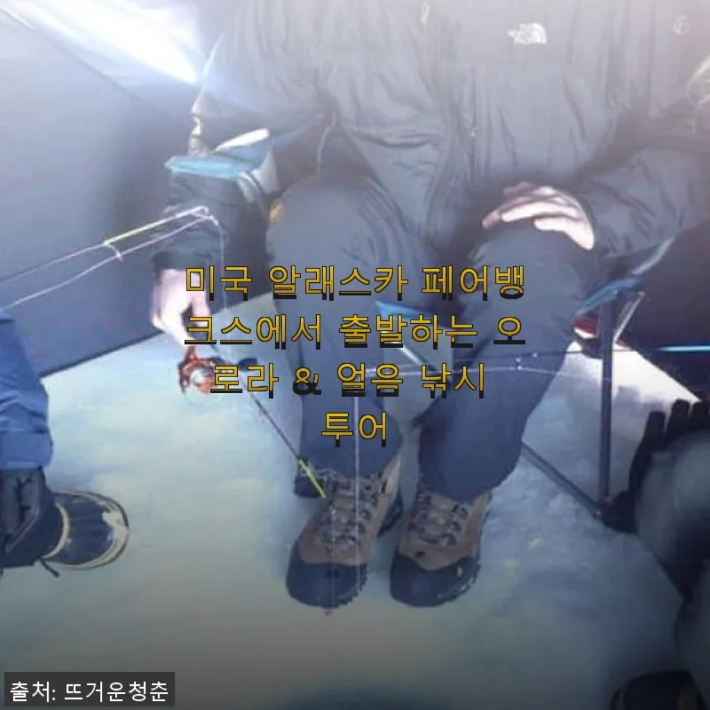 알래스카 페어뱅크스 오로라 & 얼음 낚시 투어 사용후기