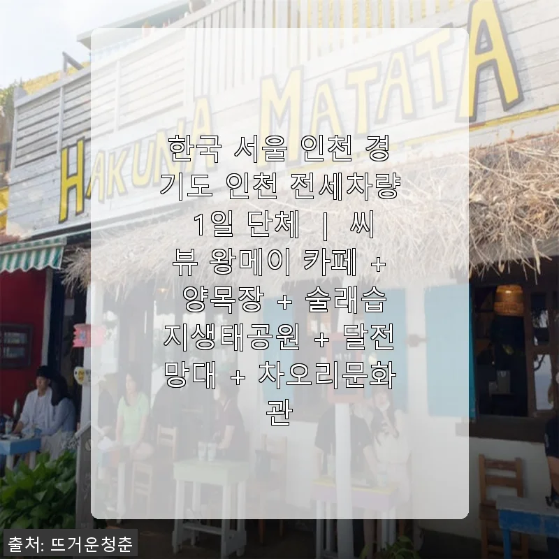 서울 인천 경기도 인천 전세차량 1일 단체 투어 후기: 씨뷰 왕메이 카페부터 달전망대까지