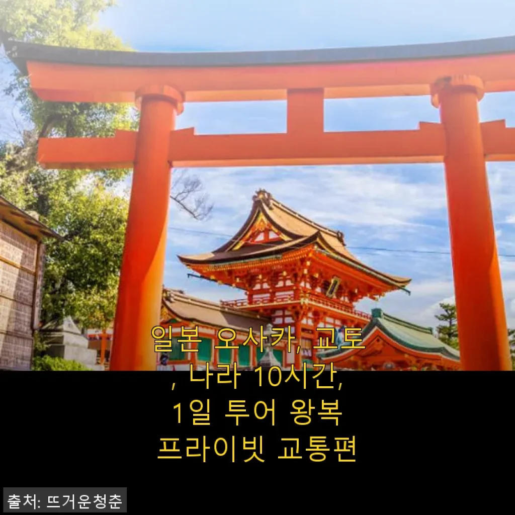 일본 오사카, 교토, 나라 10시간 1일 투어 왕복 프라이빗 교통편 후기