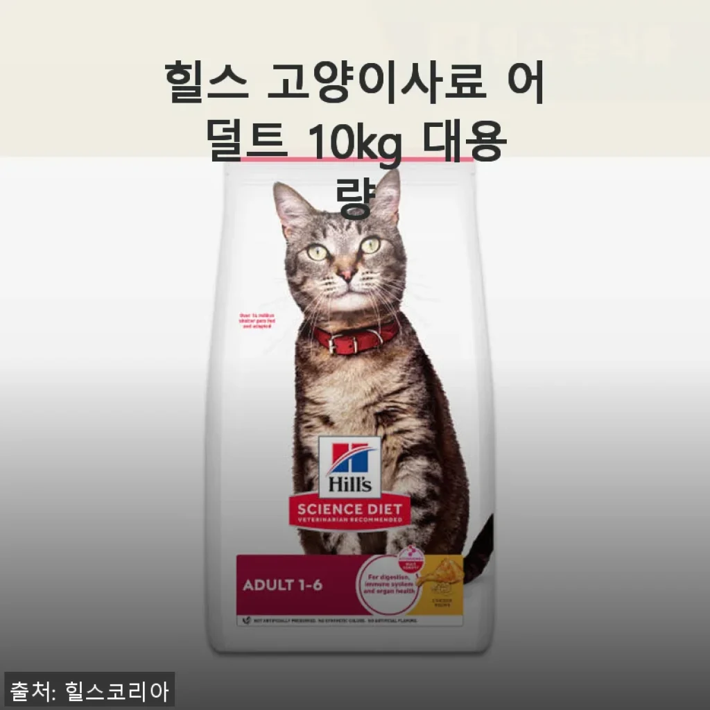 힐스 고양이사료 어덜트 10kg 대용량 사용후기: 7년째 믿고 먹이는 이유