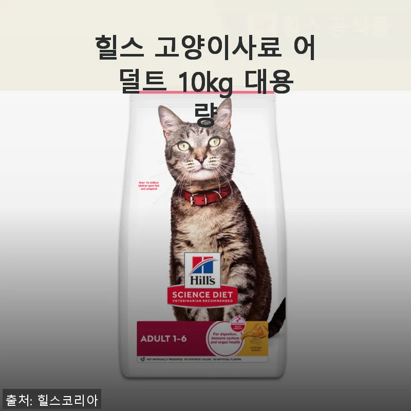 힐스 고양이사료 어덜트 10kg 대용량 사용후기: 7년째 믿고 먹이는 이유