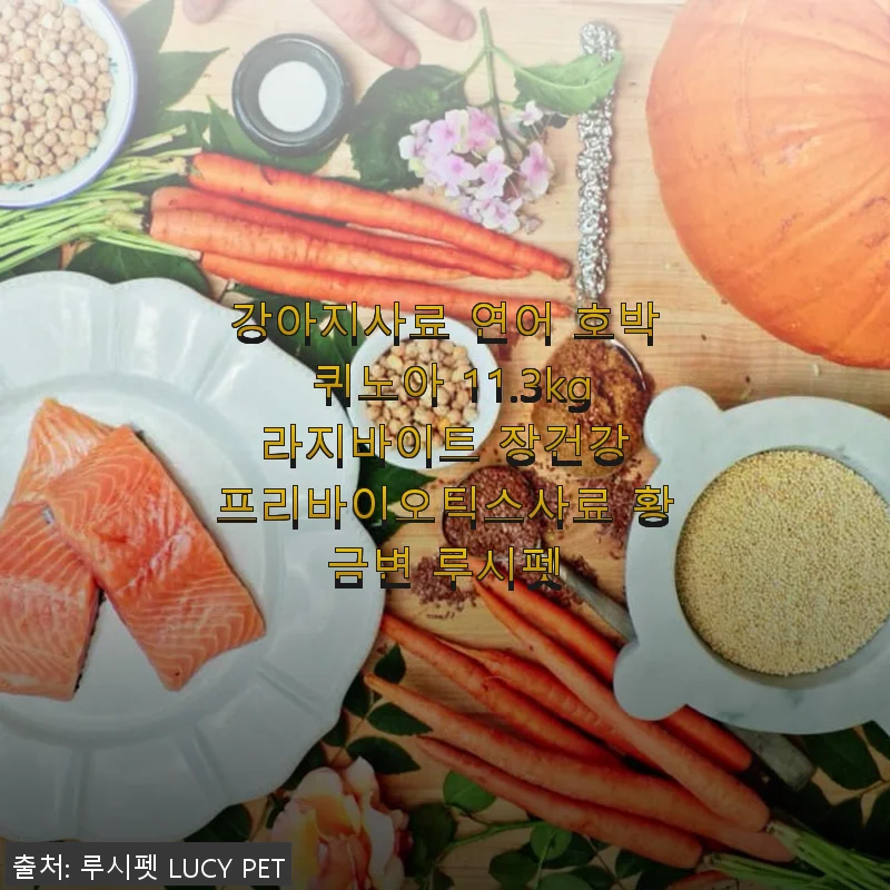강아지사료 연어 호박 퀴노아 11.3kg 사용후기: 건강한 장과 황금변 경험기