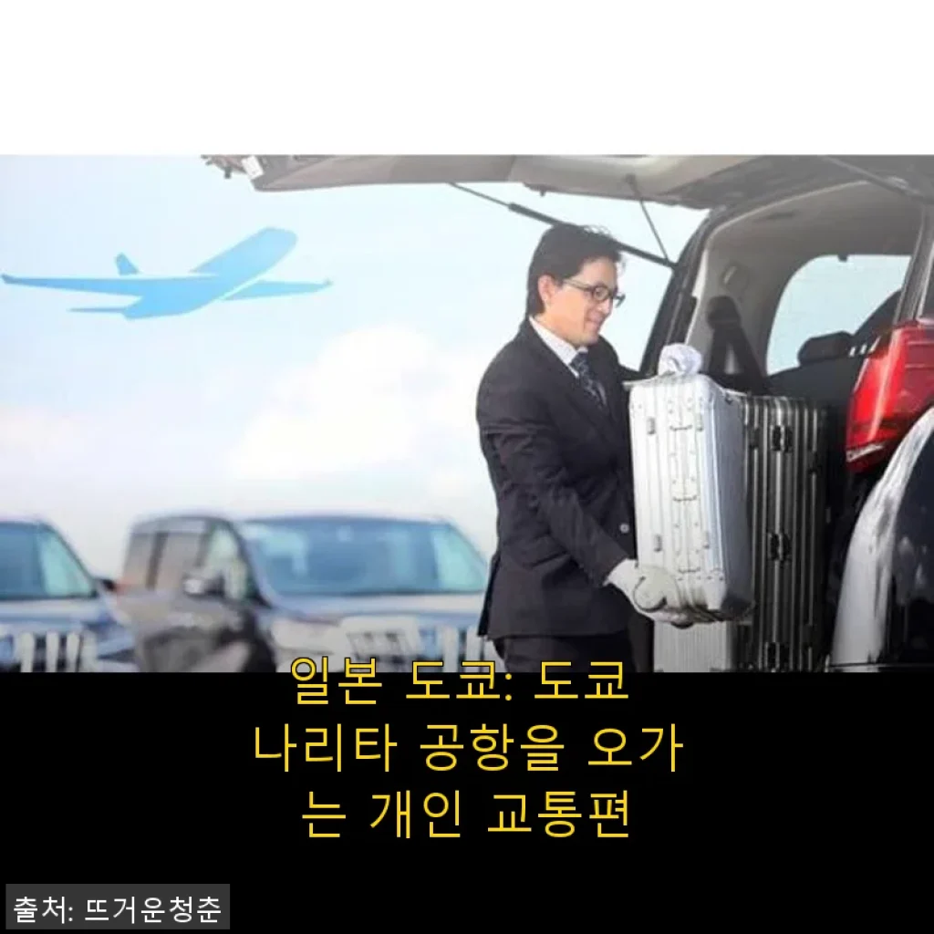 일본 도쿄 나리타 공항 개인 교통편 이용 후기