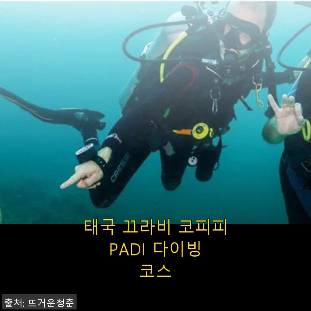 태국 끄라비 코피피 PADI 다이빙 코스 사용후기 및 상세 소개