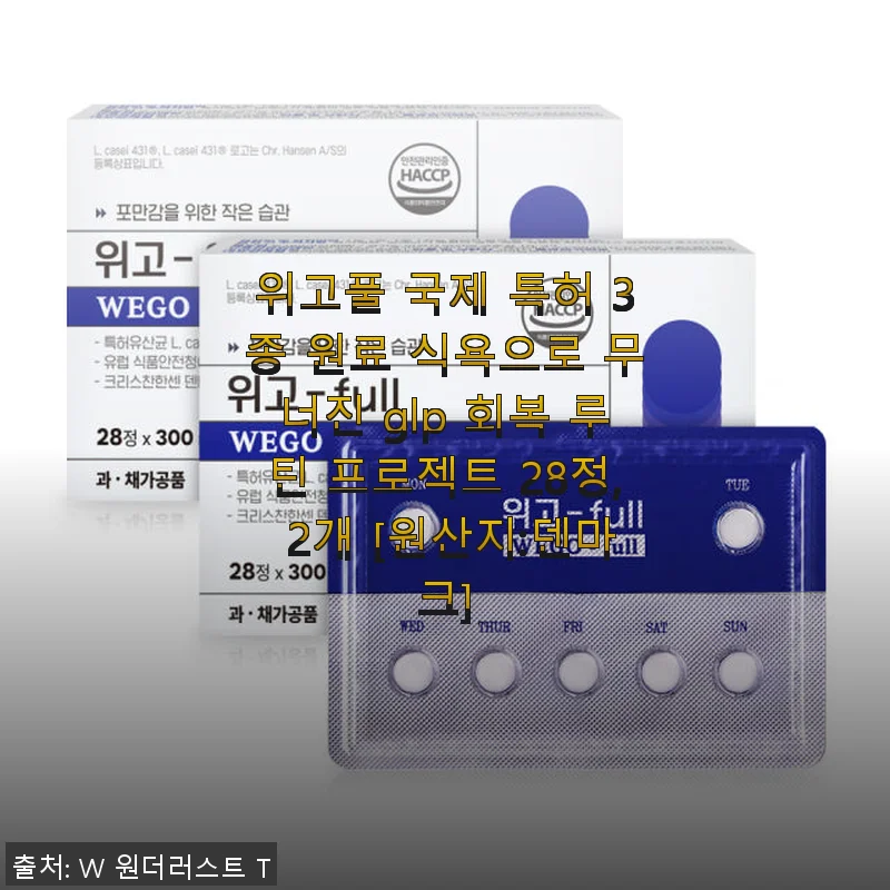 위고풀 국제 특허 3종 원료 식욕 조절 루틴 프로젝트 28정 사용후기