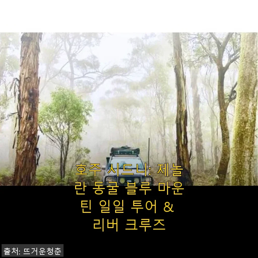 호주 시드니 제놀란 동굴 블루 마운틴 일일 투어 & 리버 크루즈 사용후기