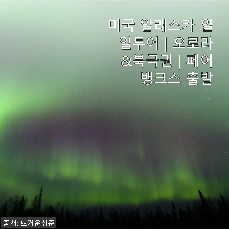 미국 알래스카 일일투어 | 오로라&북극권 | 페어뱅크스 출발 사용후기