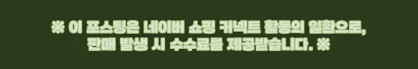 프랑크푸르트 공항 픽업 87,000원 특가, FRA 시내 이동 전 꼭 확인할 예약 팁 4 이해관계문구
