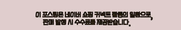 괌 패러세일링+카약 또는 스노클링 찐후기급 예약 가이드, 호텔 왕복 픽업까지 한 번에 5 이해관계문구