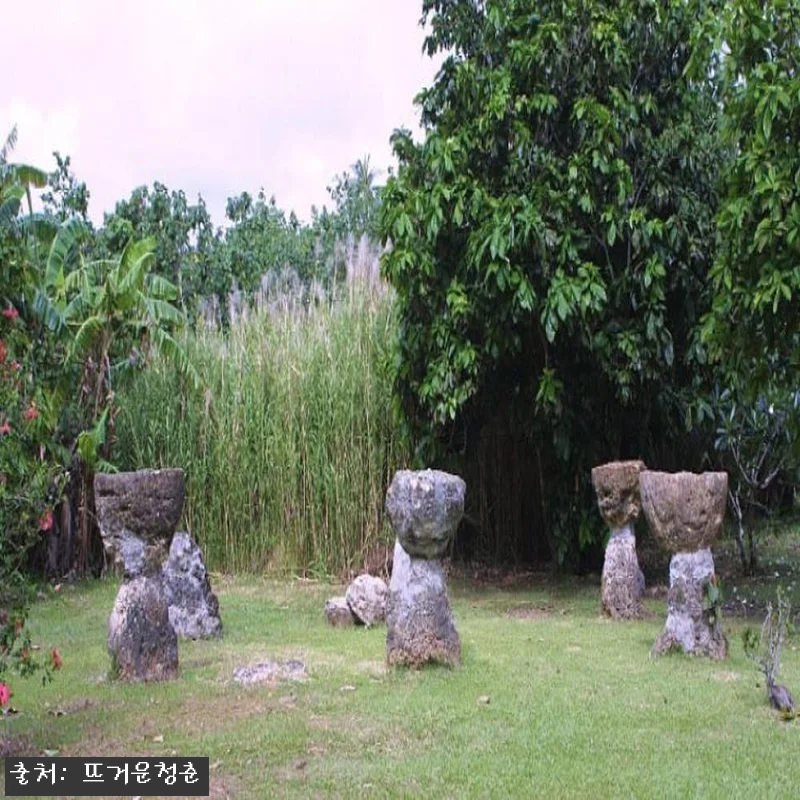 괌 탈로포포 리버크루즈 투어, 바다 관련 이미지 4