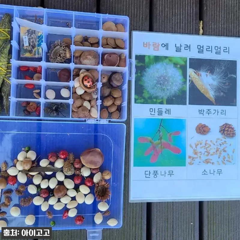 서울숲 어린이 할로윈 숲체험, 20% 관련 이미지 8