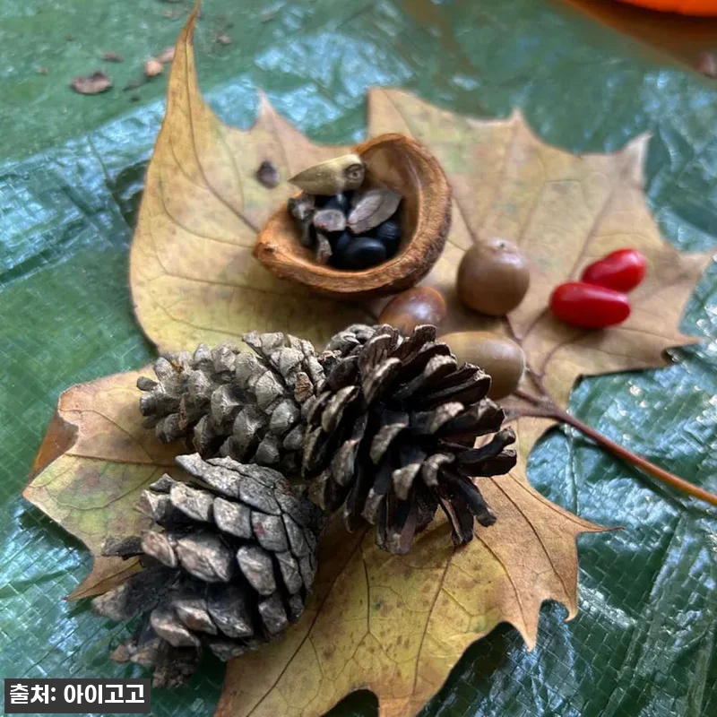 부산시민공원 해운대 장산대천공원 어린 관련 이미지 8