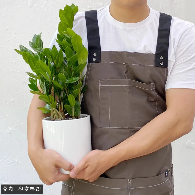 의정부 개업 선물 급할 때, 신호트리 관련 이미지 8