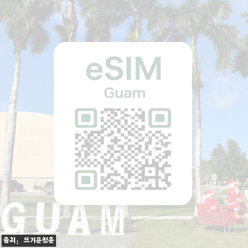 괌 이심 eSIM 데이터 전용 매일 무제한, 여행 전 챙기기 좋은 이심통 구매 체크 후기