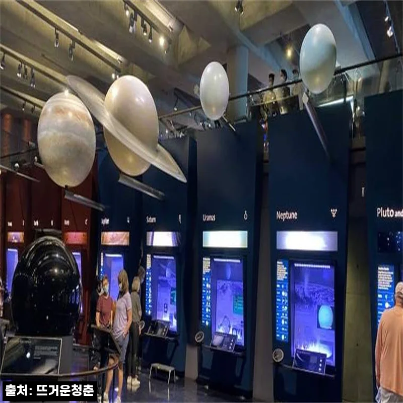 미국 로스앤젤레스 그리피스 전망대 프라이빗 가이드 투어, 예약 전 꼭 확인한 핵심 후기