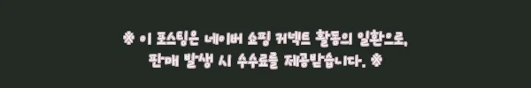 미국 보스턴 로드아일랜드 뉴포트 셀프 오디오 가이드 투어, 일정 자유로운 여행 준비 후기 5 이해관계문구