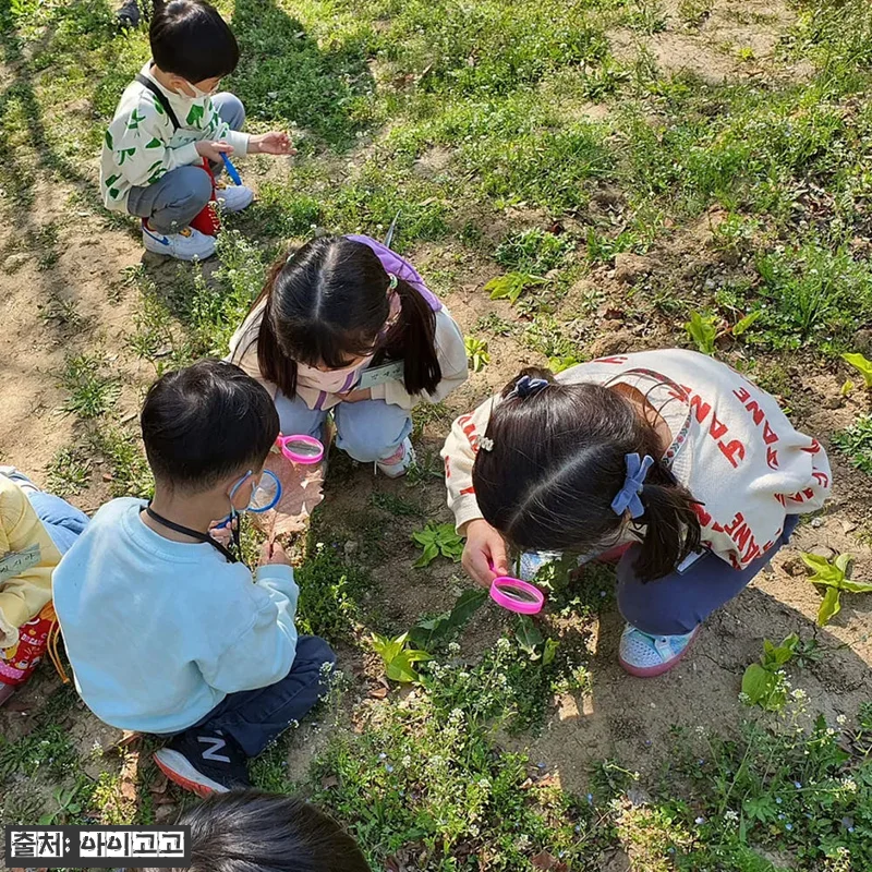 숲파티포레 최대 12인 프라이빗 숲체 관련 이미지 1