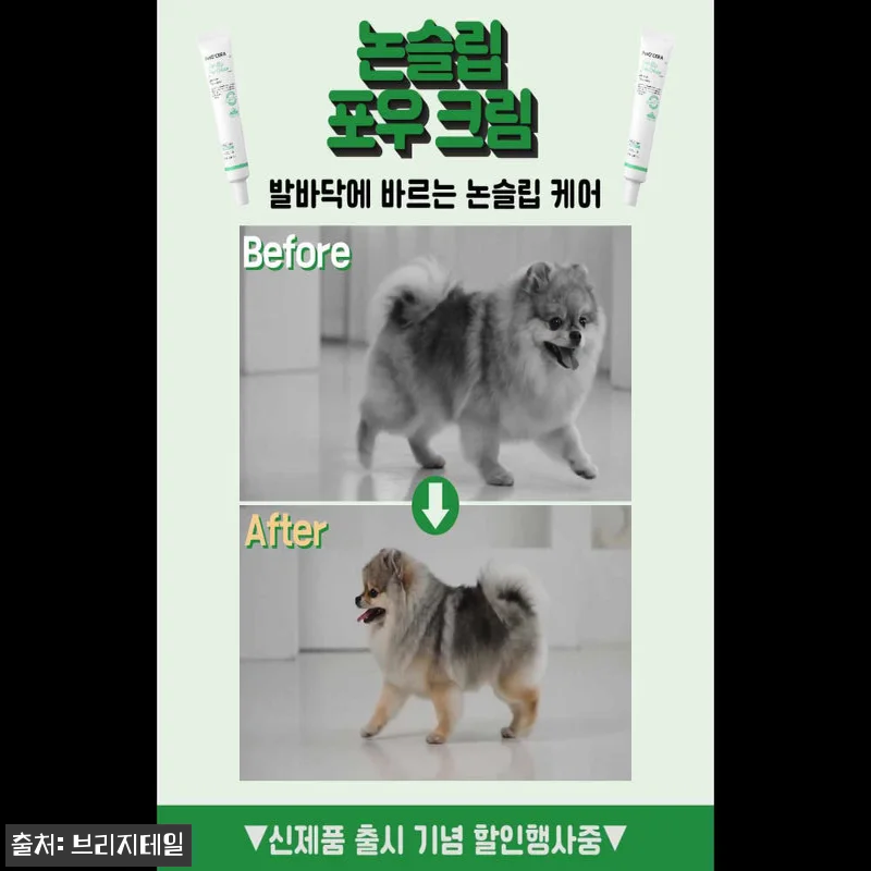 페토세라 강아지 고양이 미끄럼방지 논슬립 포우 크림 40ml, 마루 바닥 걱정 덜어주는 반려동물 발바닥 케어템 4 페토세라 강아지 고양이 미끄럼방지 논 관련 이미지 1