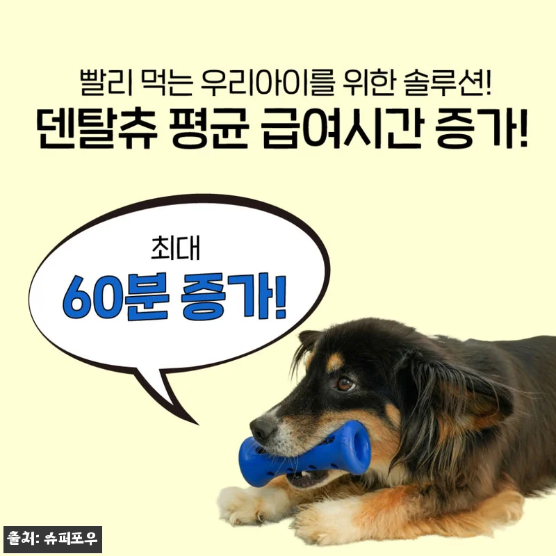 찐후기 체크! 슈퍼포우 1시간 노즈워크 덴탈츄 부스터 XS 익스트림 블랙, 오래 즐기는 간식 시간템 8 찐후기 체크! 슈퍼포우 1시간 노즈워 관련 이미지 1