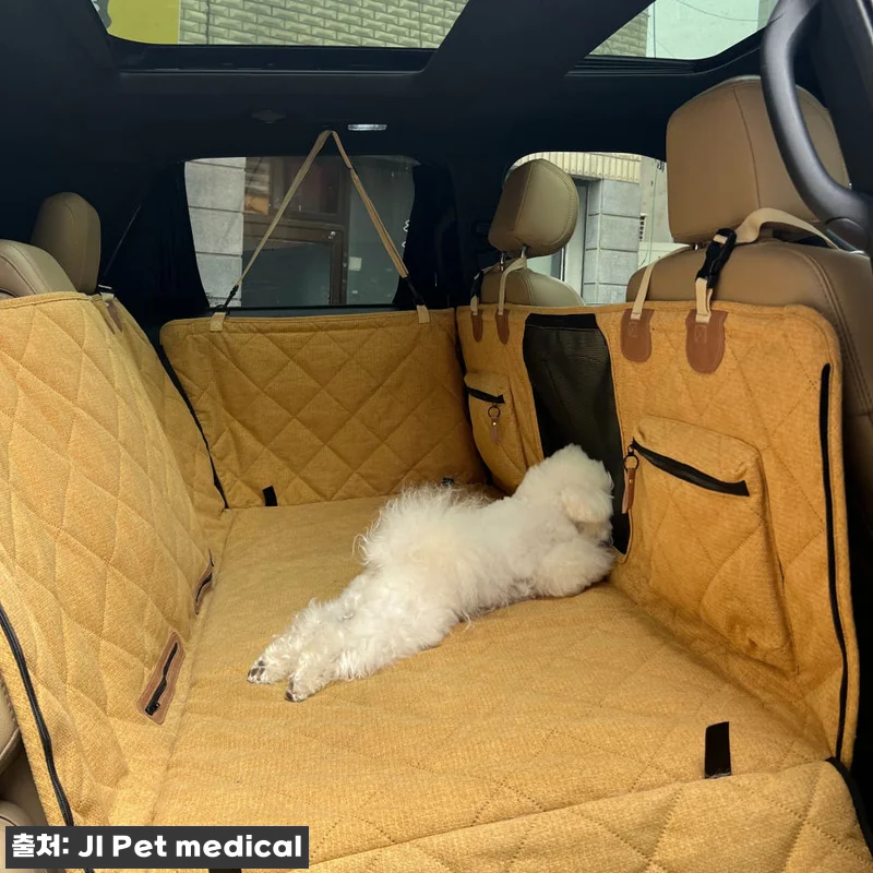퍼플앤코 FurfulnCo 자동차 뒷 관련 이미지 2