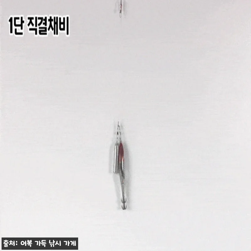 델리온 델리리그 2세대 쭈꾸미 갑오징 관련 이미지 3