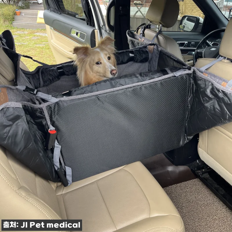 퍼플앤코 FurfulnCo 자동차 뒷 관련 이미지 3