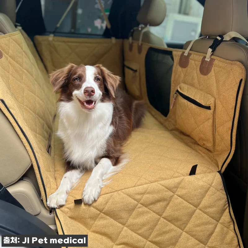 퍼플앤코 FurfulnCo 자동차 뒷 관련 이미지 6