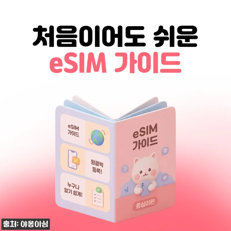 말레이시아이심 eSIM 1일 500M 관련 이미지 8