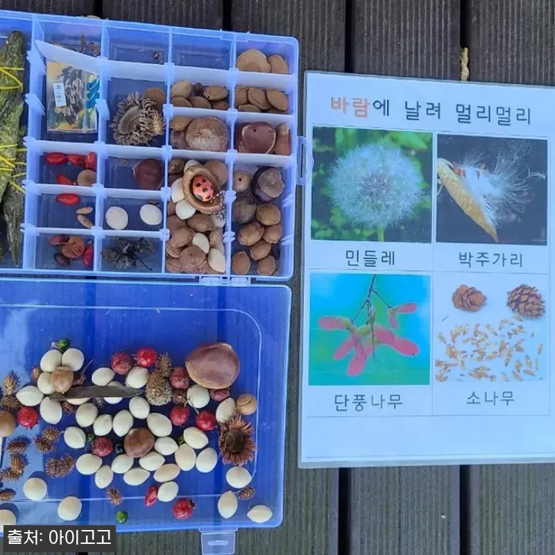 대전 세종 충청 어린이 할로윈 숲체험 관련 이미지 8