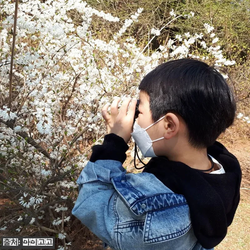 숲파티포레 최대 12인 프라이빗 숲체 관련 이미지 9