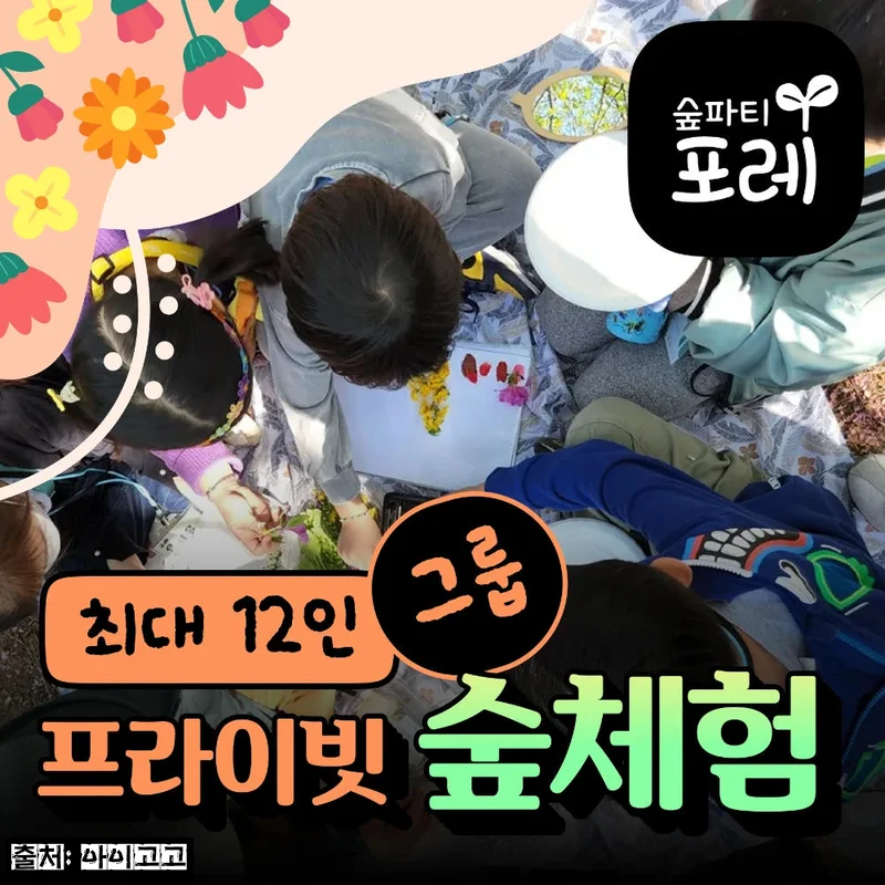숲파티포레 최대 12인 프라이빗 숲체험, 아이들과 떠나는 주말 자연 체험 이슈템