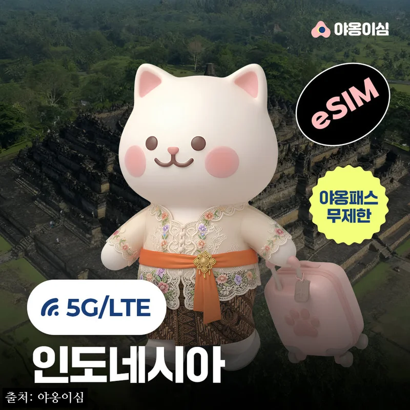 인도네시아이심 eSIM 1일 500MB 데이터 무제한 발리 자카르타, 150원 특가로 확인한 여행 준비 이슈템