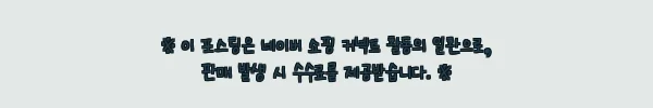 스피나 밸런싱체어 찐후기, 앉아서 시작하는 코어 홈트 이슈템 11 이해관계문구