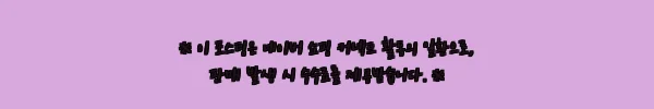 메가바이트 메가탄 50 쭈꾸미에기, 4,500원 무료배송으로 챙긴 미니 에기 구매 전 체크 후기 8 이해관계문구